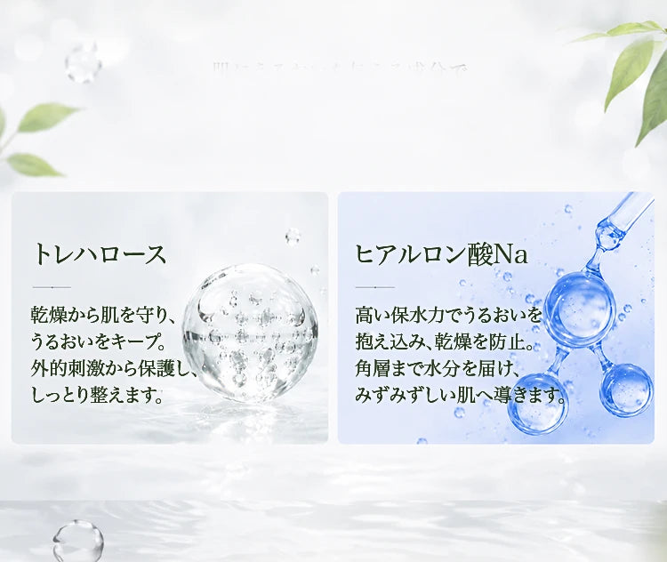 ヒアルロン酸Naとトレハロースの保湿成分の説明
