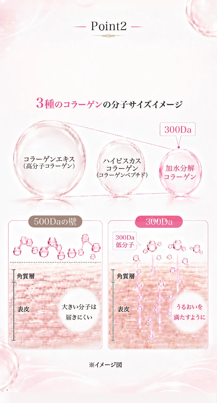 コラーゲンの分子サイズと浸透イメージ
